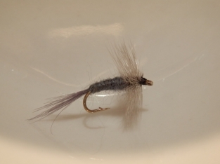 Size 16 Blue Dun midge